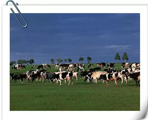 微信圖片_20180904112508.jpg 微信圖片_20180904112508.jpg